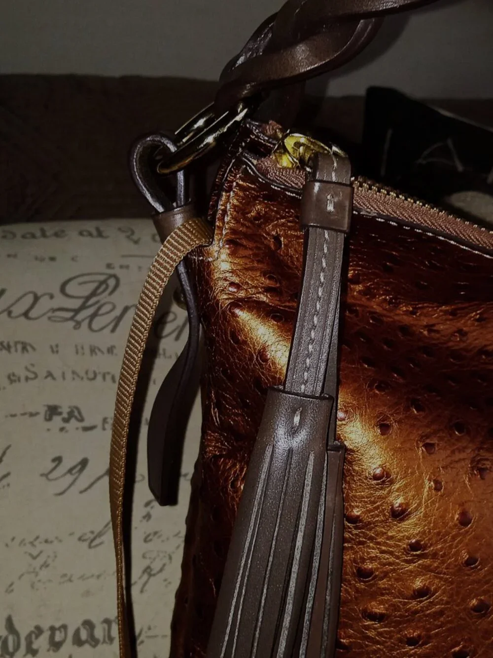 Dooney & Bourke Ostrich Collection Brown Metallic Leather Shoulder Bag